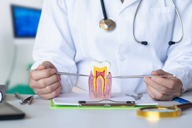 Best Emergency Dental Care for Broken or Chipped Teeth in Ohatchee, AL